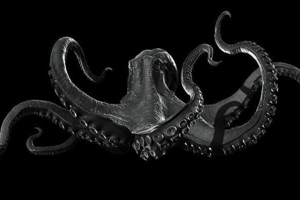 Kraken как найти ссылку