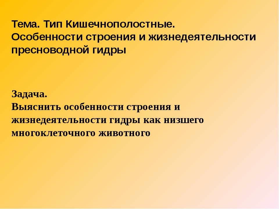 Услуги даркнета