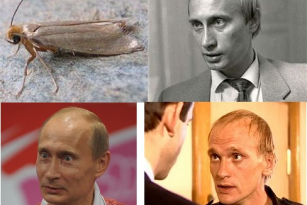 Ссылка на кракен онион